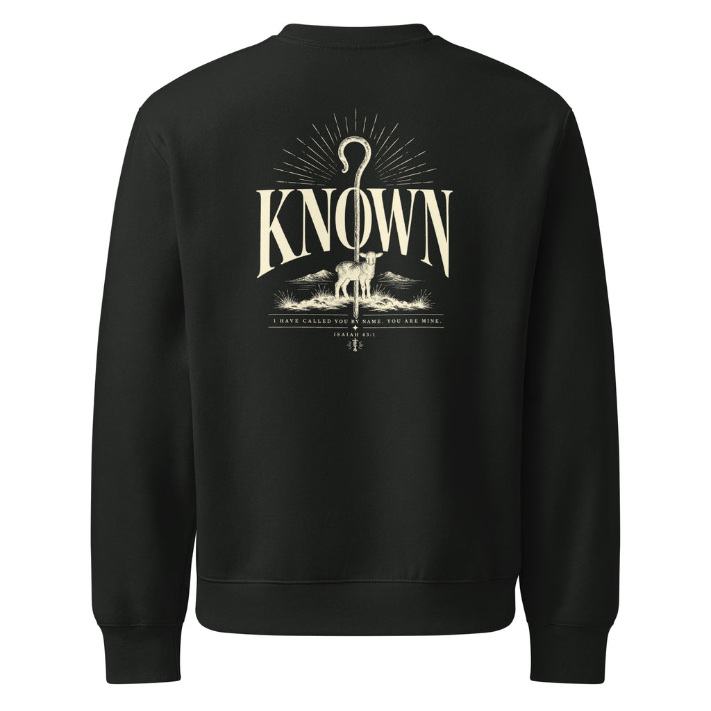 Known Oversized Sweatshirt in Vintage Black back — Christian streetwear by Kingdom Dividends