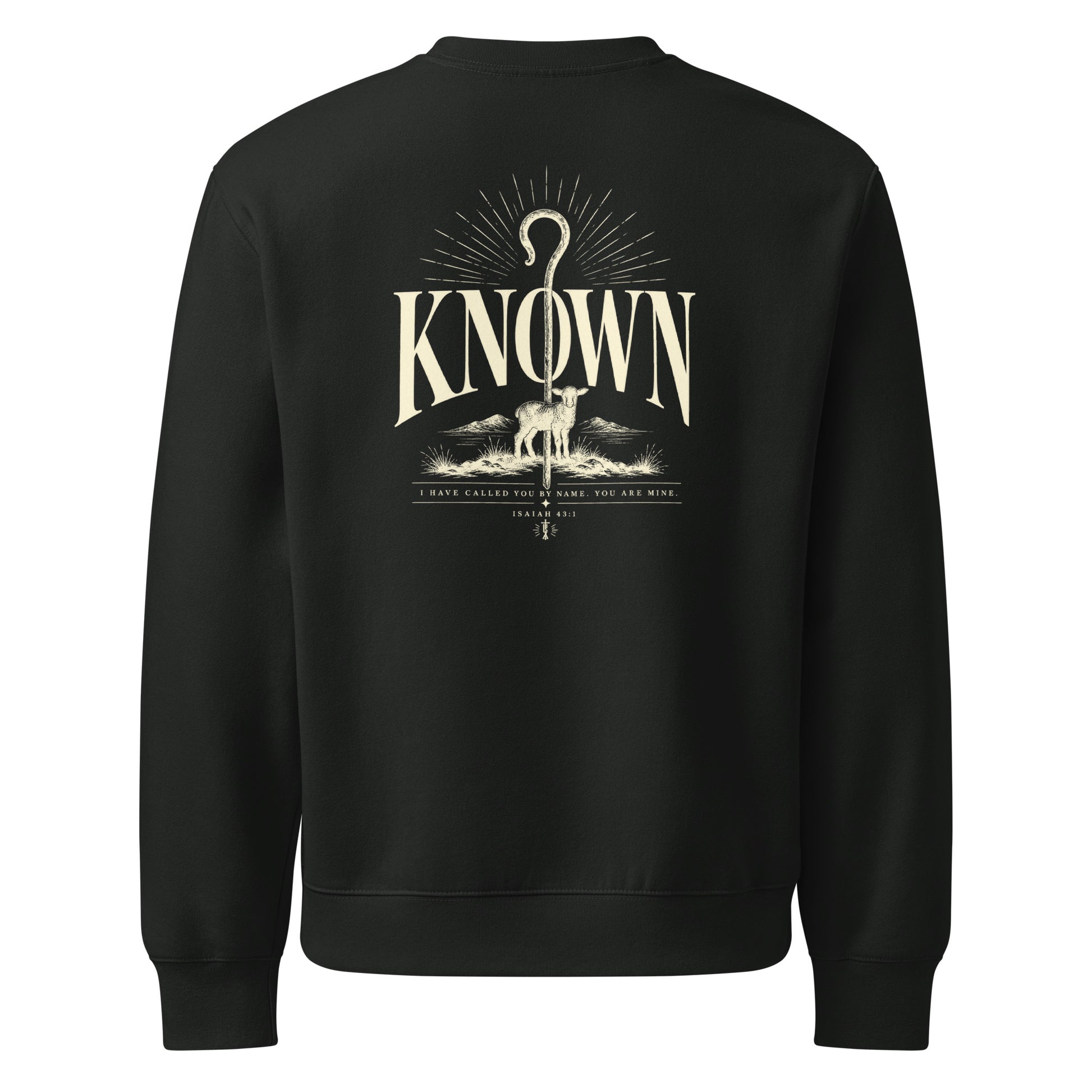 Known Oversized Sweatshirt in Vintage Black back — Christian streetwear by Kingdom Dividends